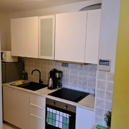 Seagull * سبليت