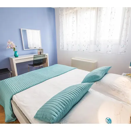 Seagull * سبليت