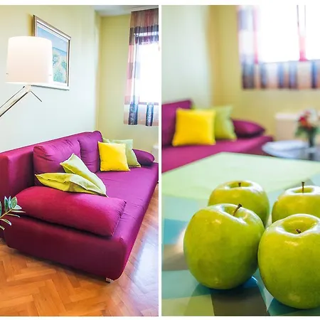 Seagull * سبليت