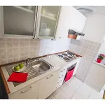 Apartman Seagull